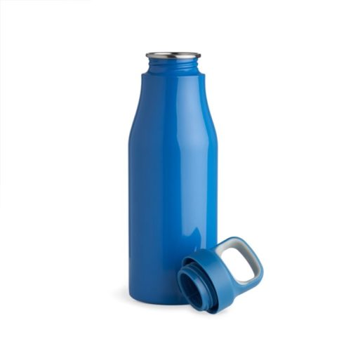 Garrafa Inox 650ml 3